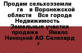 Продам сельхозземли ( 6 000 га ) в Воронежской области - Все города Недвижимость » Земельные участки продажа   . Ямало-Ненецкий АО,Салехард г.